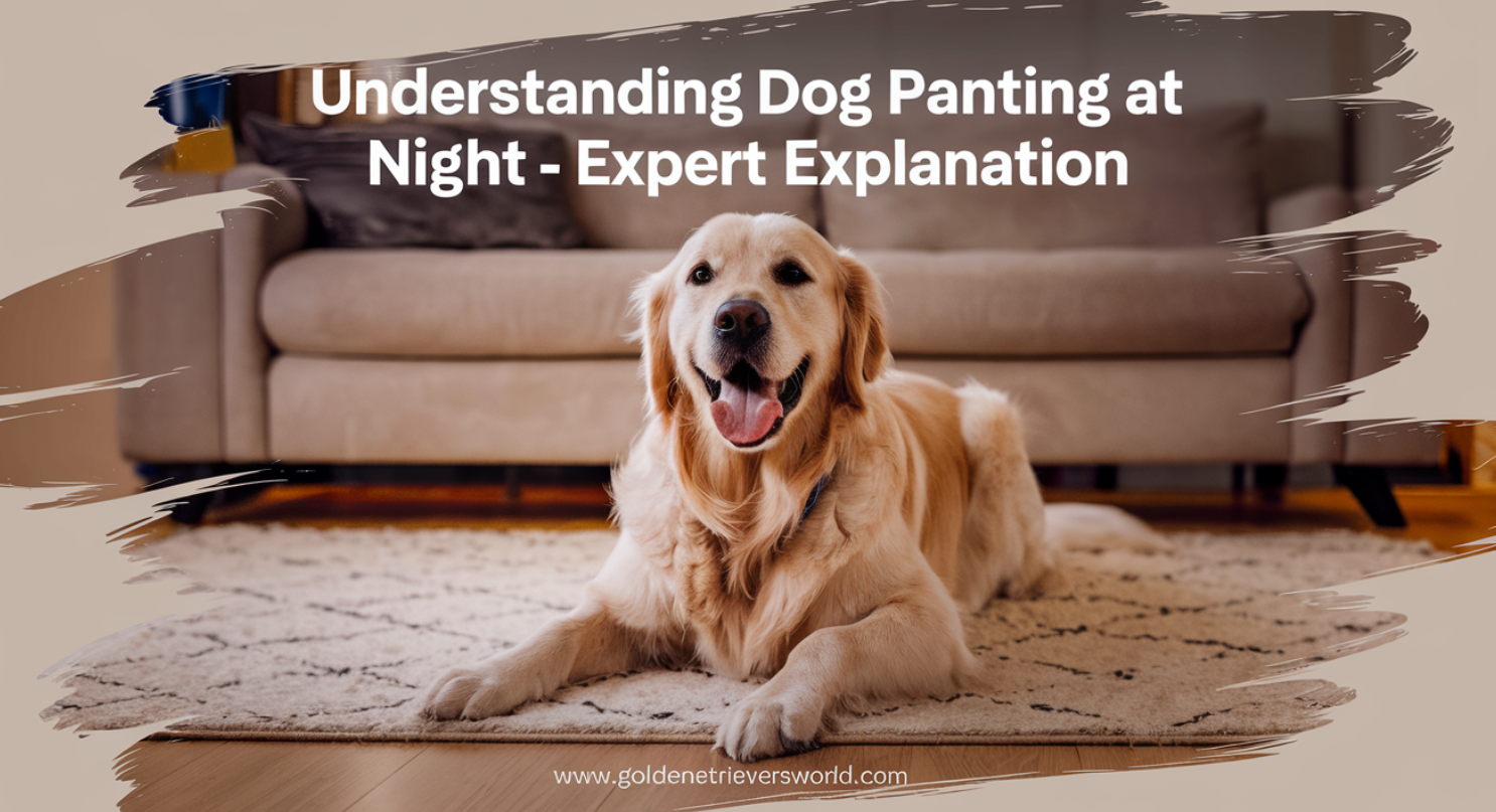 Understanding Dog Panting at Night – Expert Explanation