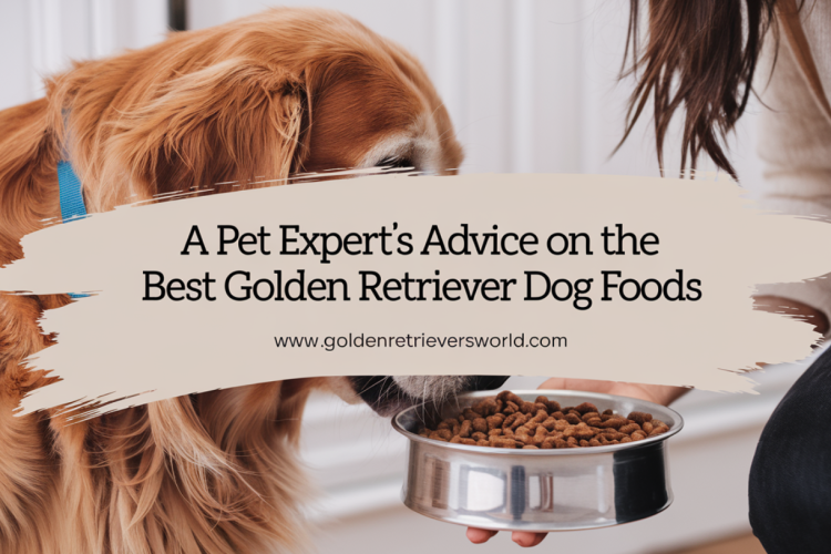 A Pet Expert’s Advice on The Best Golden Retriever Dog Foods