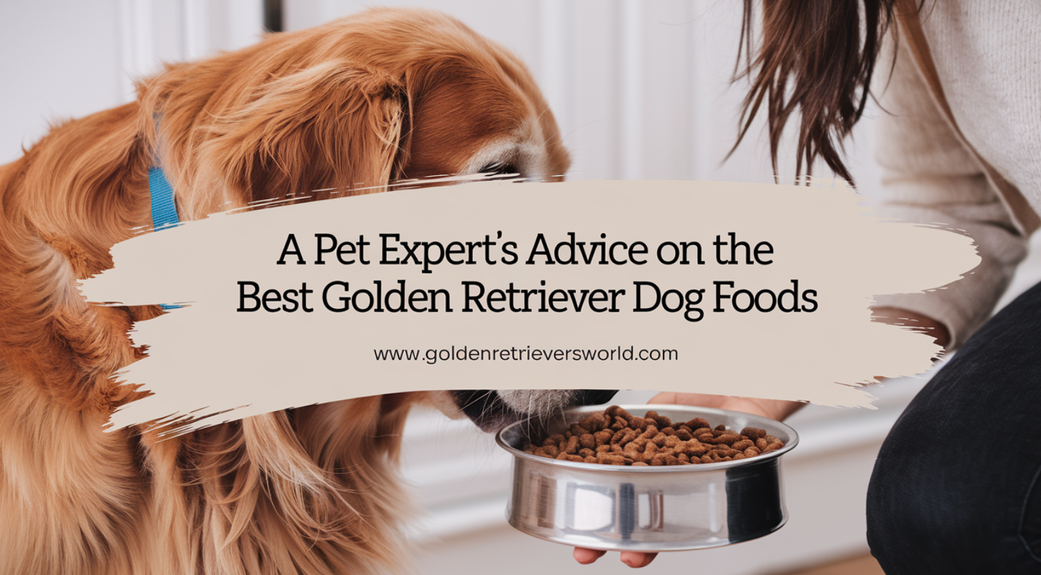 A Pet Expert’s Advice on The Best Golden Retriever Dog Foods
