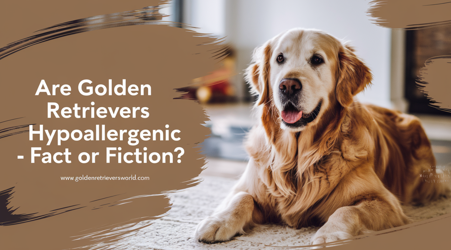 Are Golden Retrievers Hypoallergenic? Investigating whether this is fact or fiction