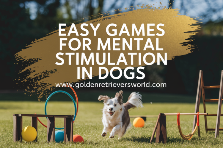 Easy Games for Mental Stimulation in Dogs